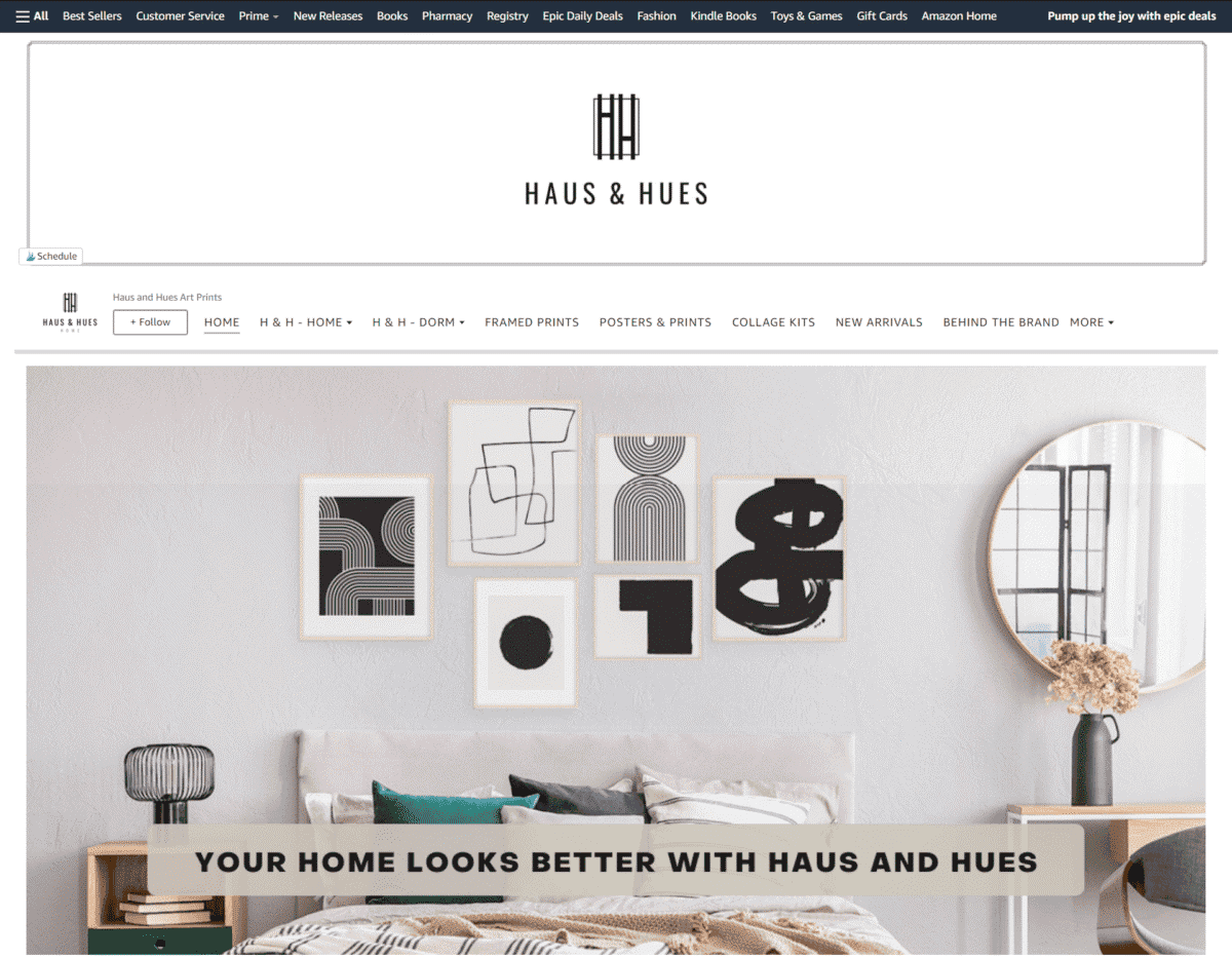 Haus and Hues Amazon Store