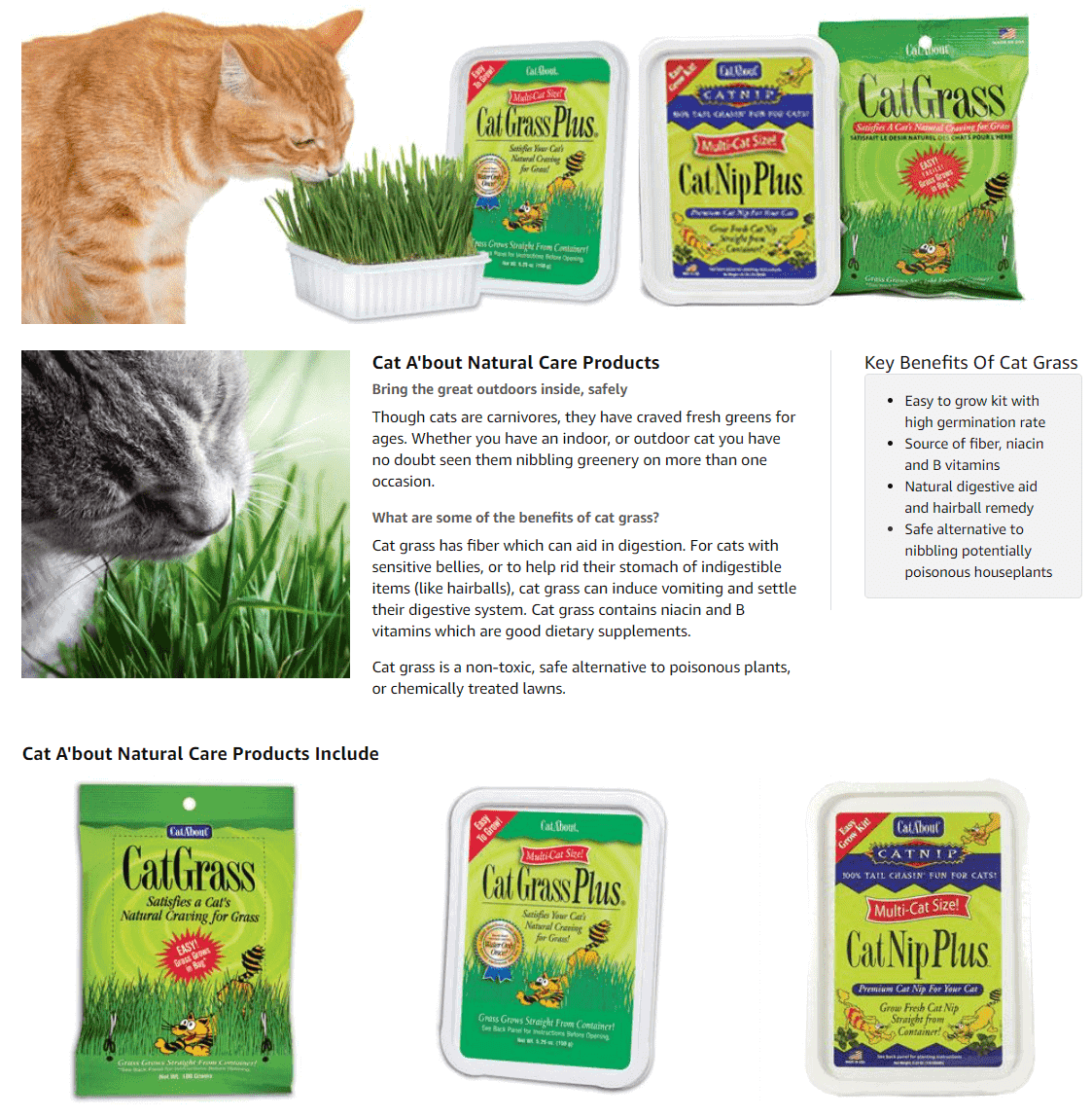 Miracle Care Cat Inspiring Amazon Enhanced Brand Content Example