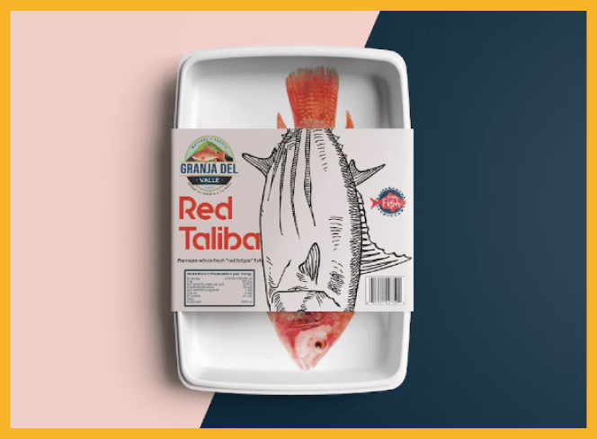 Fish packaging by Mohammed Samir