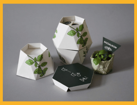 Boxes with Unique Shapes and Wrapped Illustrations