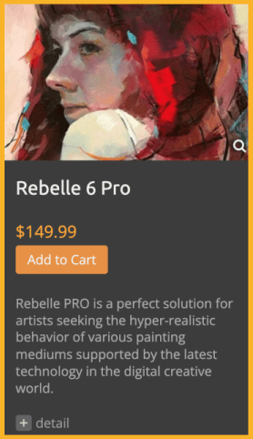 rebelle 6 pro pricing plan