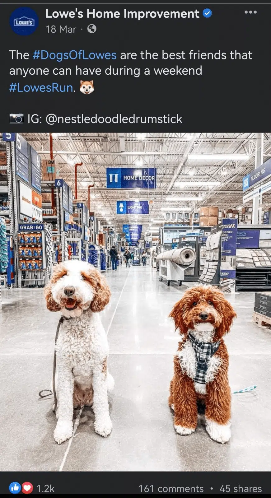 Lowes sales allow dogs