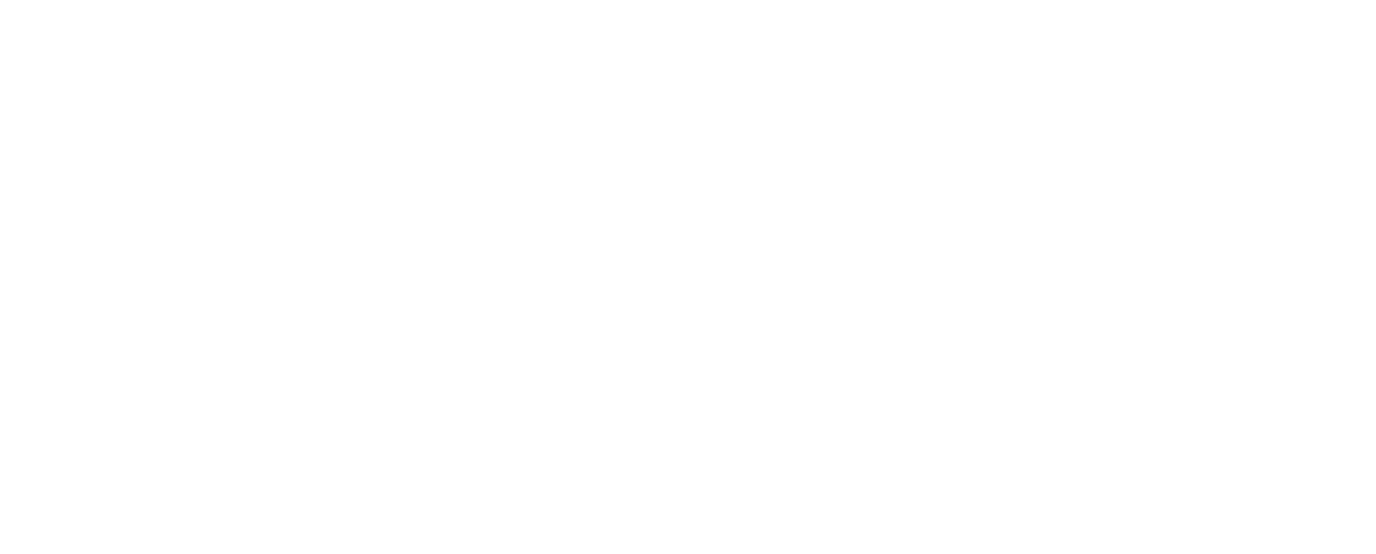 ebay white logo